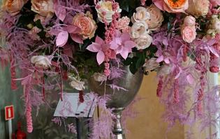41. wystawa Royal Rose 2025