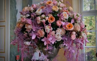 41. wystawa Royal Rose 2025