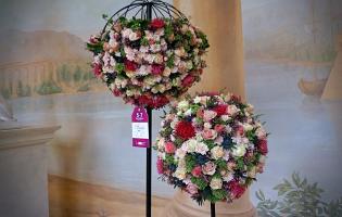 41. wystawa Royal Rose 2025