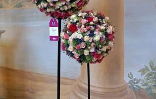 41. wystawa Royal Rose 2025