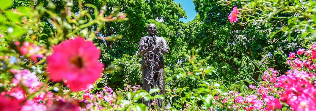 Monument of Bolesław Wituszyński in roses